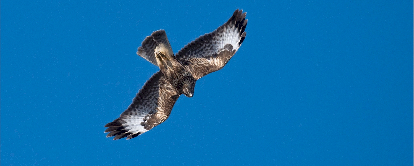 02 Percorso Montalto Ligure - Carpasio