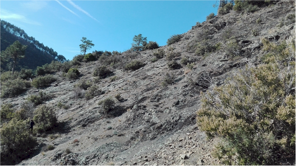 Aree aperte - Foto di F. Sartirana Image